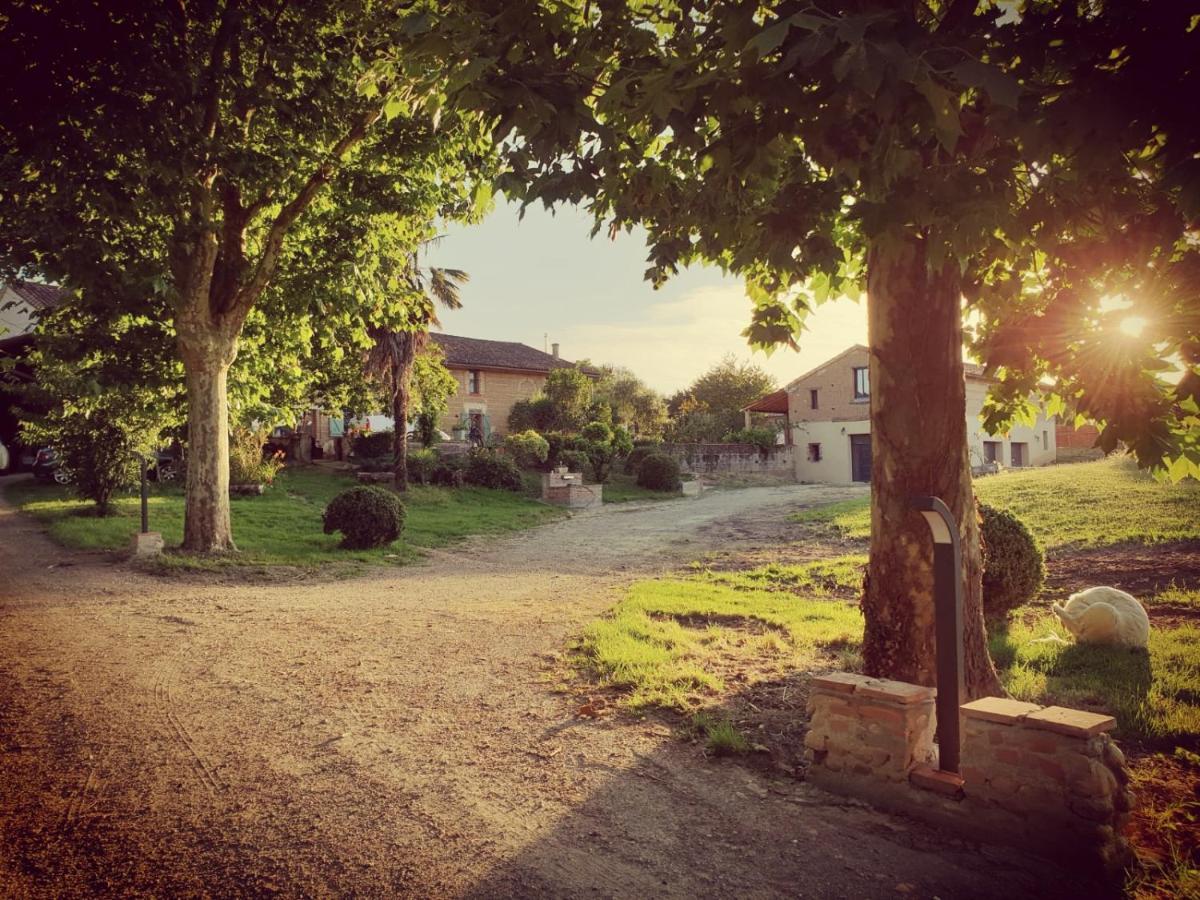 Domaine Des Jammetous - Hotel And Yoga Retreat Center La Magdelaine-Sur-Tarn Eksteriør billede